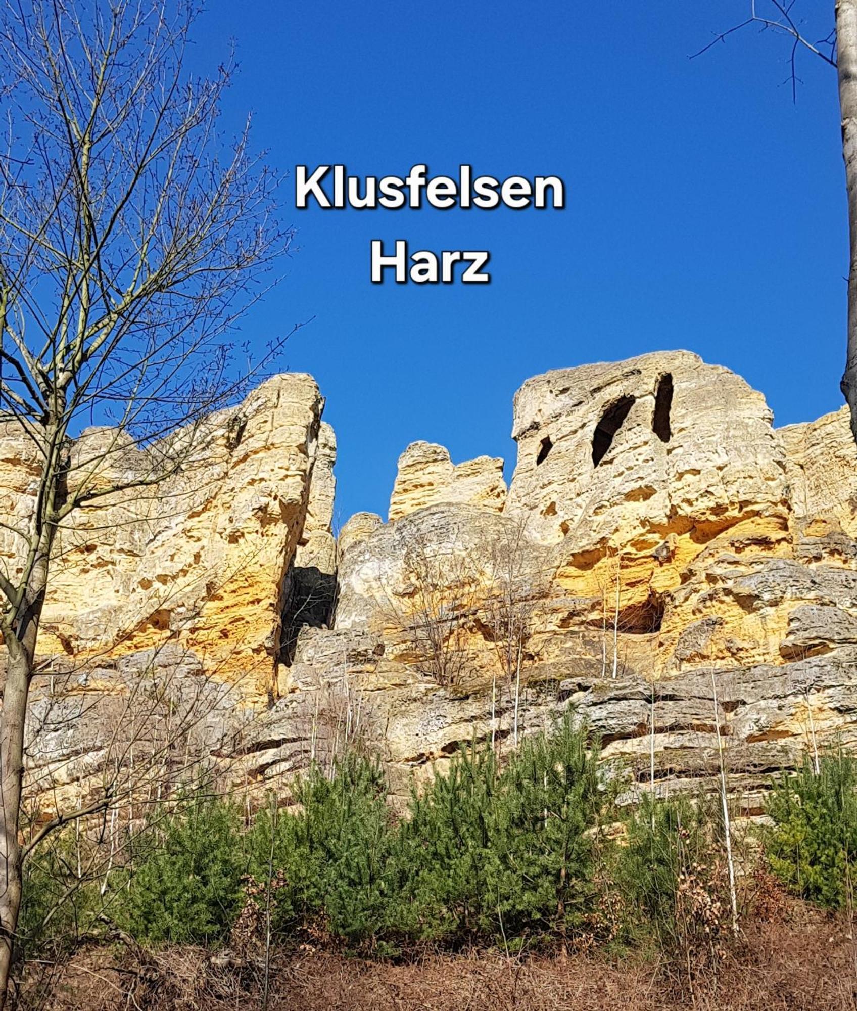 Ferienwohnung Lion Oschersleben Kültér fotó